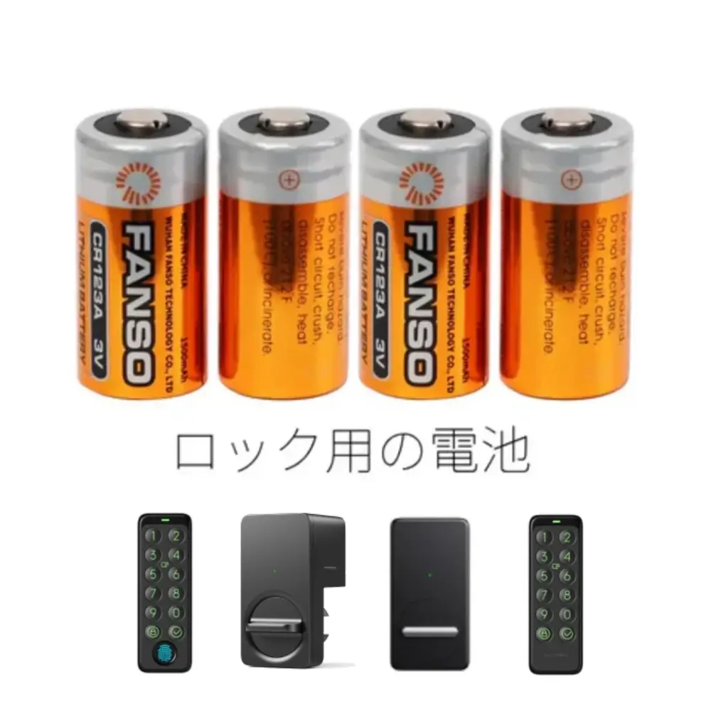 cr123a_1_1200x1200.webp?v=