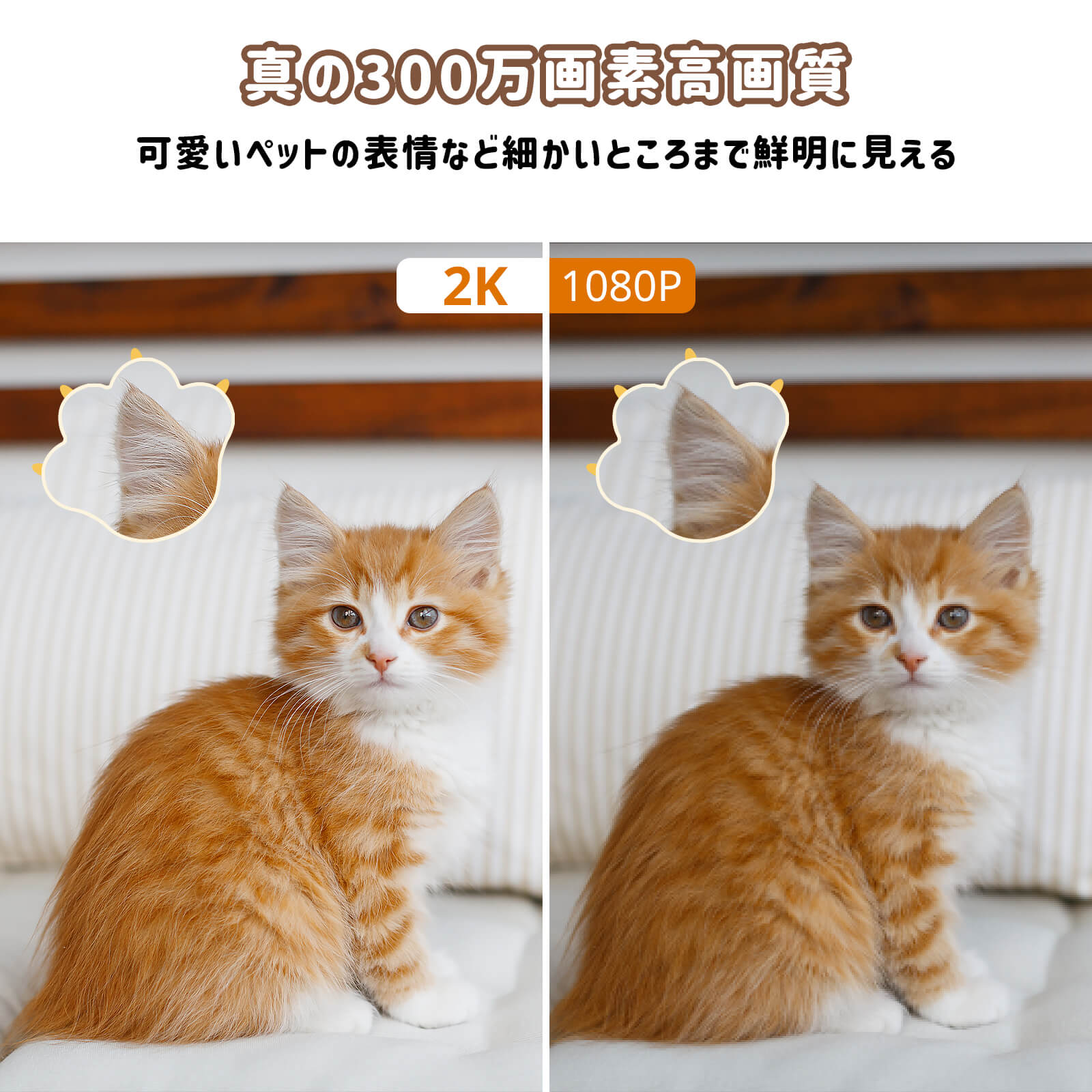 SwitchBot 見守りカメラ 3MP にゃんボット SwitchBot 見守りカメラ 3MP にゃんボット