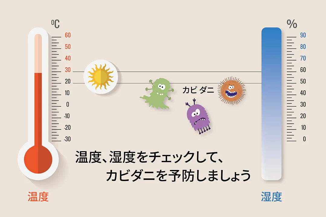 梅雨入りのタイミングは？今年の雨の特徴やおすすめの湿気対策を解説