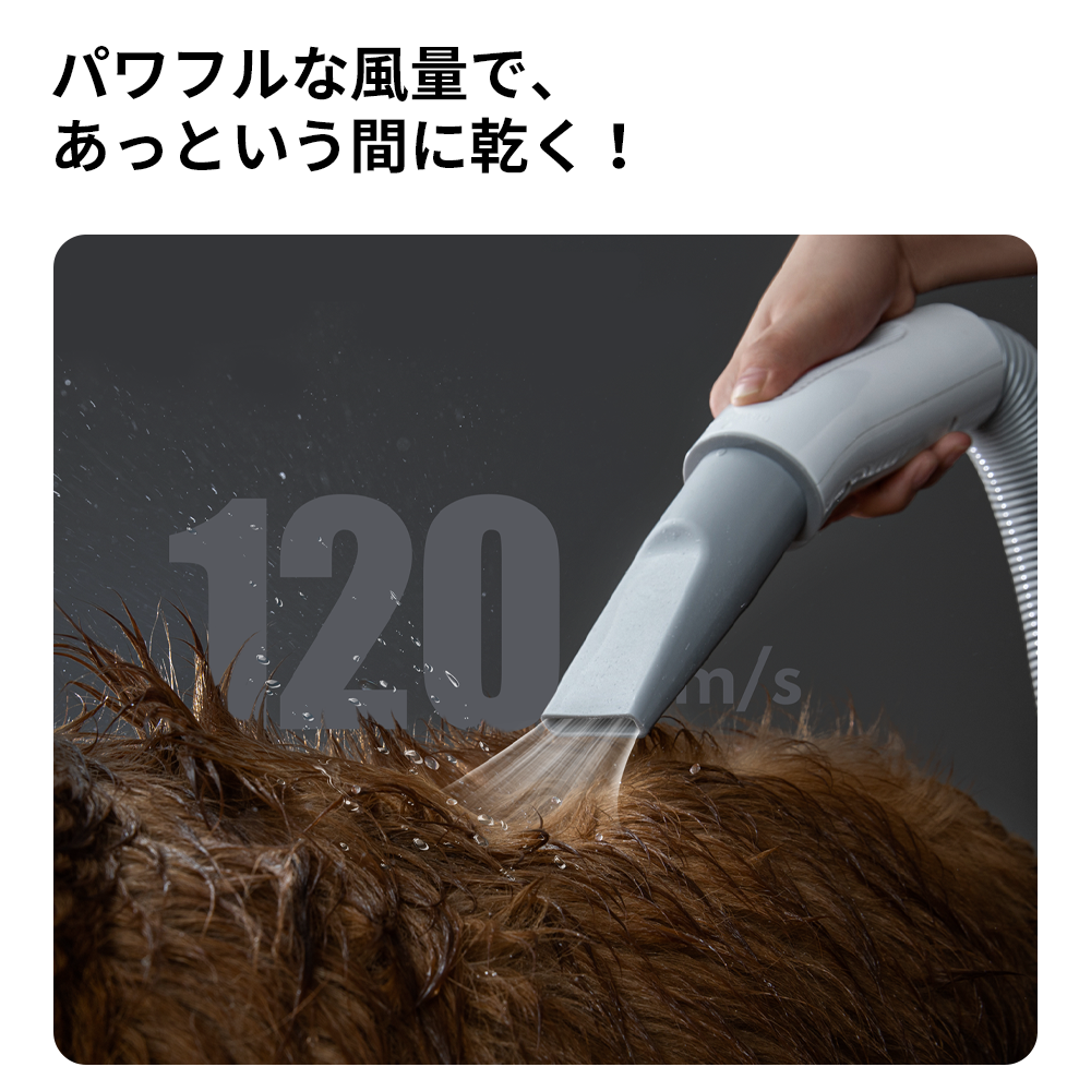 homerunPET ペットブロワー