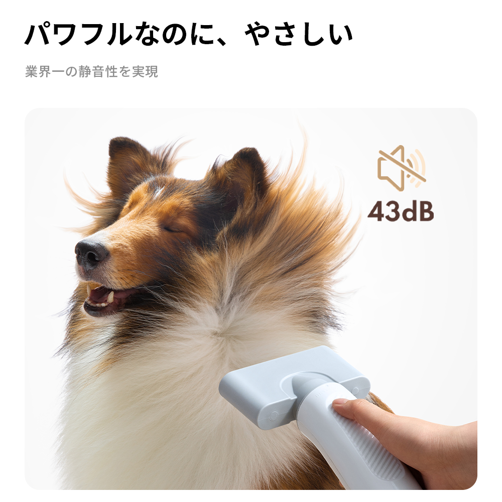 homerunPET ペットブロワー